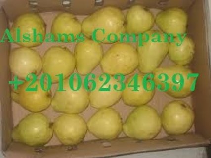 fresh Guava 2